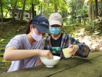 草団子作り(団子の粉をこねているところ)