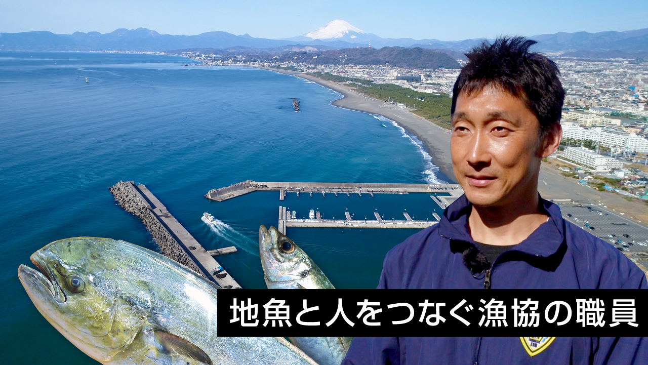 平塚の海と伏黒さんの写真