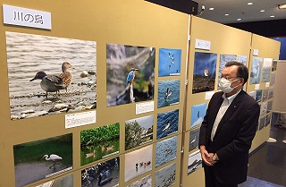 野鳥の写真展示