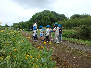 地域散策の写真2