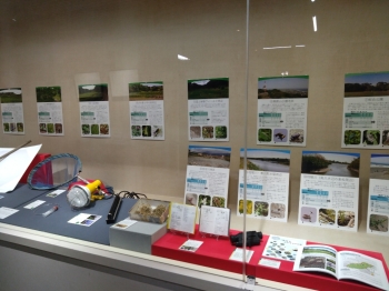 展示会場の様子