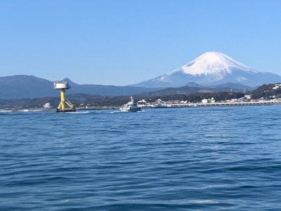 タワーと富士山の写真
