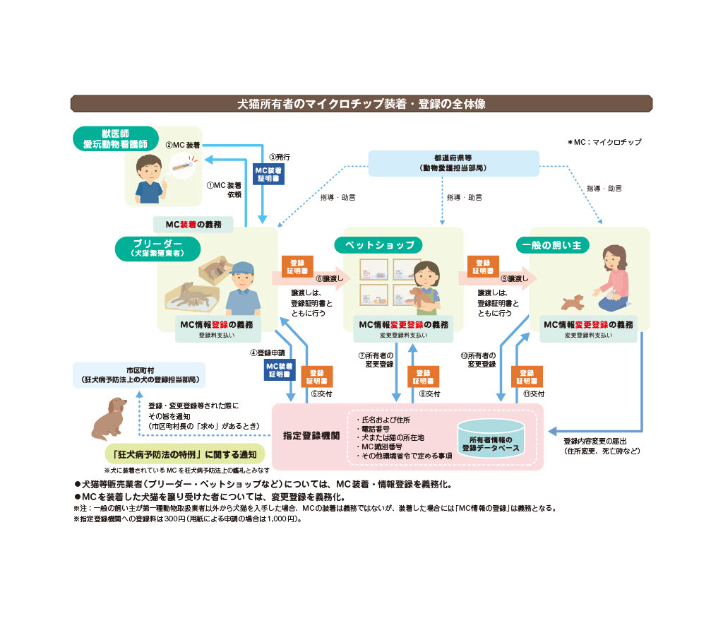 犬猫所有者のマイクロチップ装着・登録の全体像（流れ）