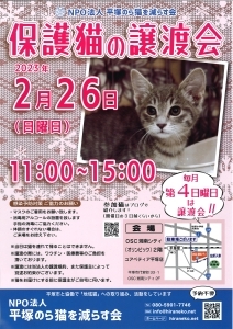 2月26日譲渡会のポスター画像