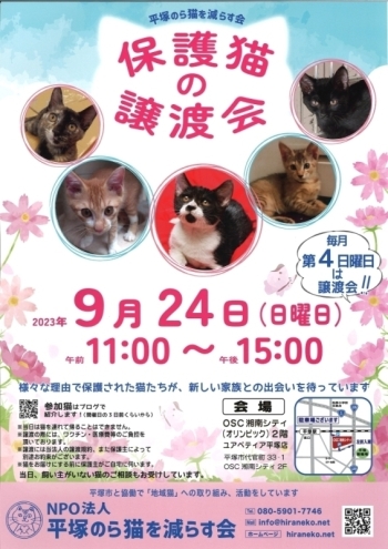 9月24日譲渡会のポスター画像