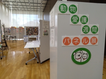 動物愛護週間パネル展紹介写真