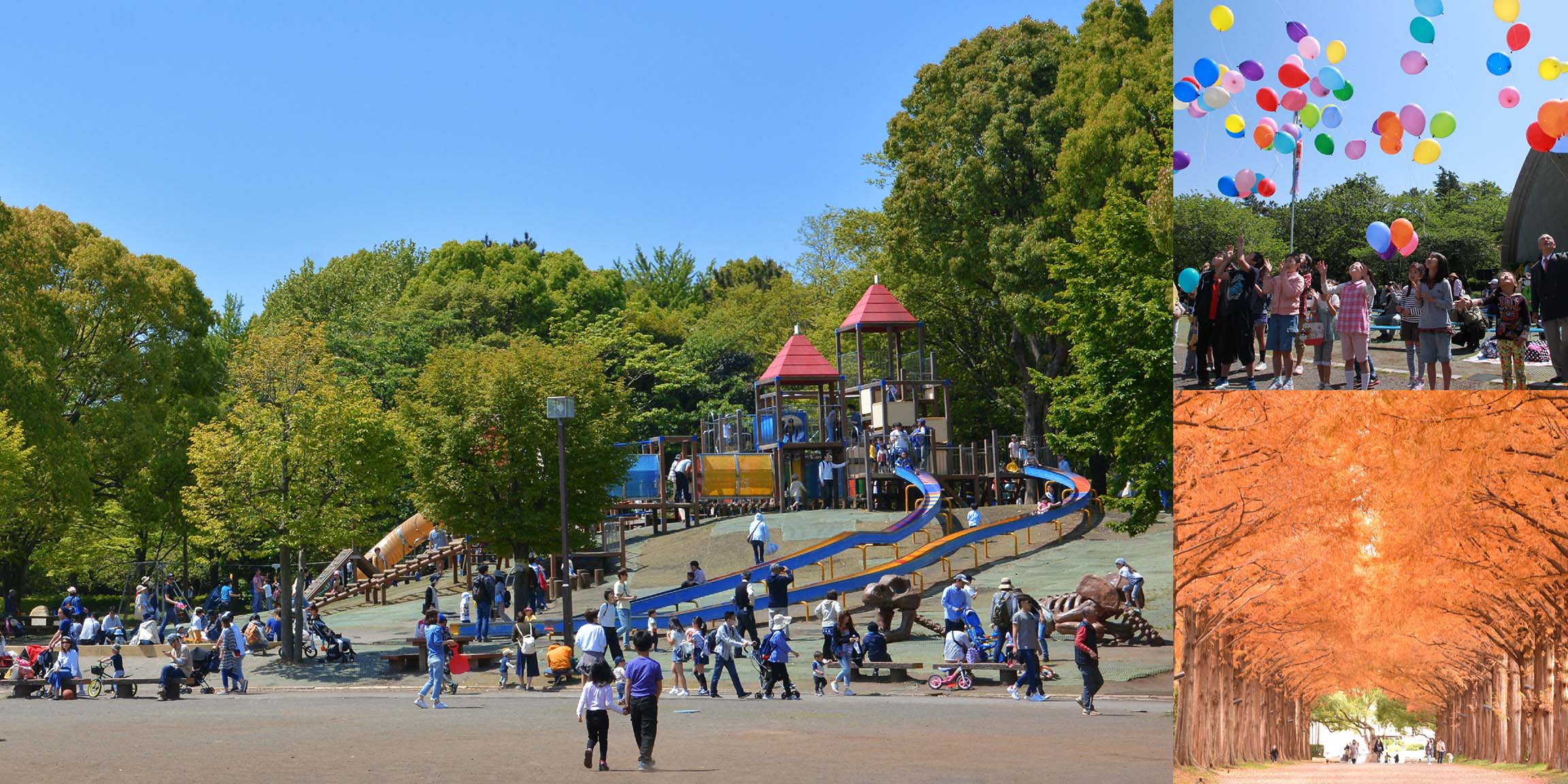 自然も遊具もいっぱいの広い公園の3枚組み写真