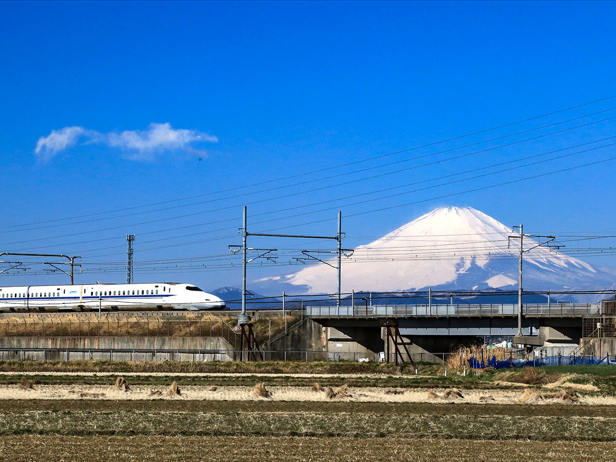 新幹線と富士の写真
