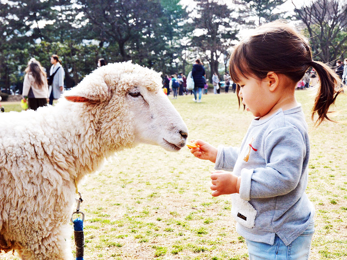 平塚のはらっぱでのイベント写真