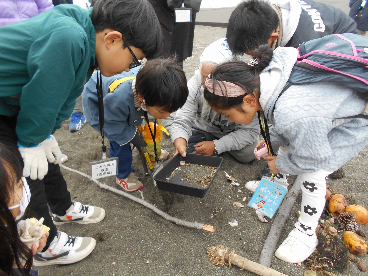 こども環境教室（海岸編）の様子3