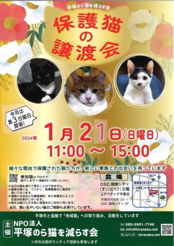 1月21日譲渡会のポスター画像