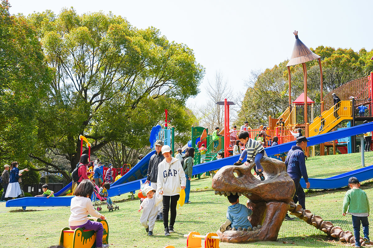 総合公園の大型遊具の写真