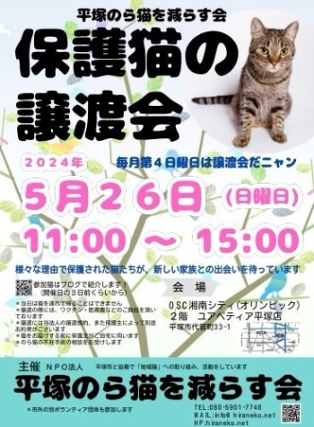 5月譲渡会のポスター画像