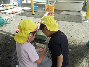 「みて！これは2億年前の石かもしれない！」