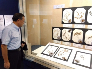 博物館夏季特別展「標本で！植物観察」