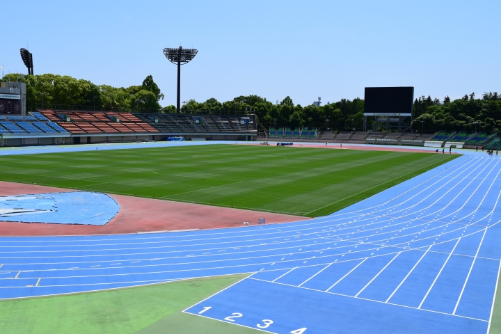 競技場の様子