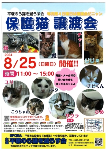 8月25日譲渡会のポスター画像