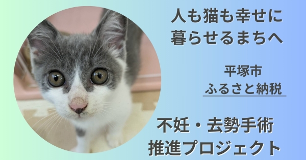 シェア用画像