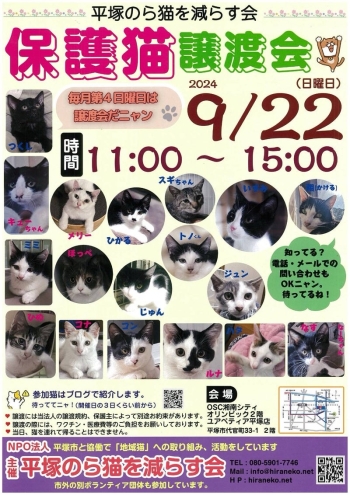 9月22日譲渡会のポスター画像