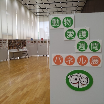 動物愛護週間パネル展紹介写真