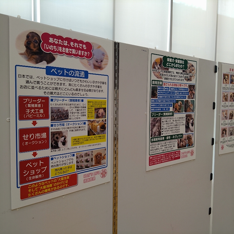 展示物写真