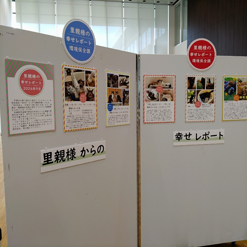展示物写真