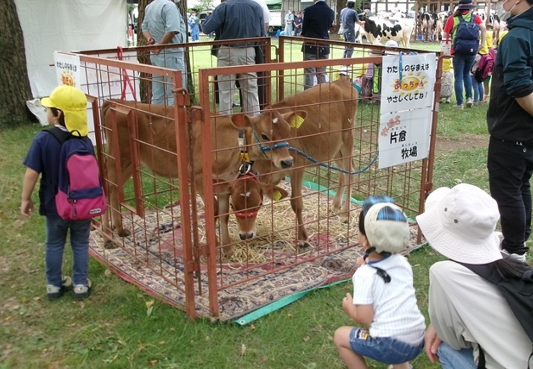 コウシノテンジ