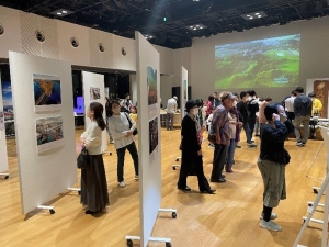展示