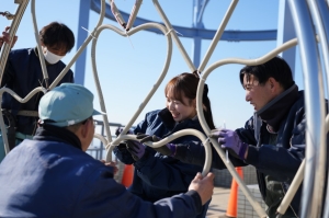 湘南平を整備している様子の写真
