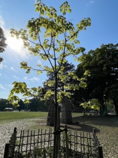 5月1日（木曜日）