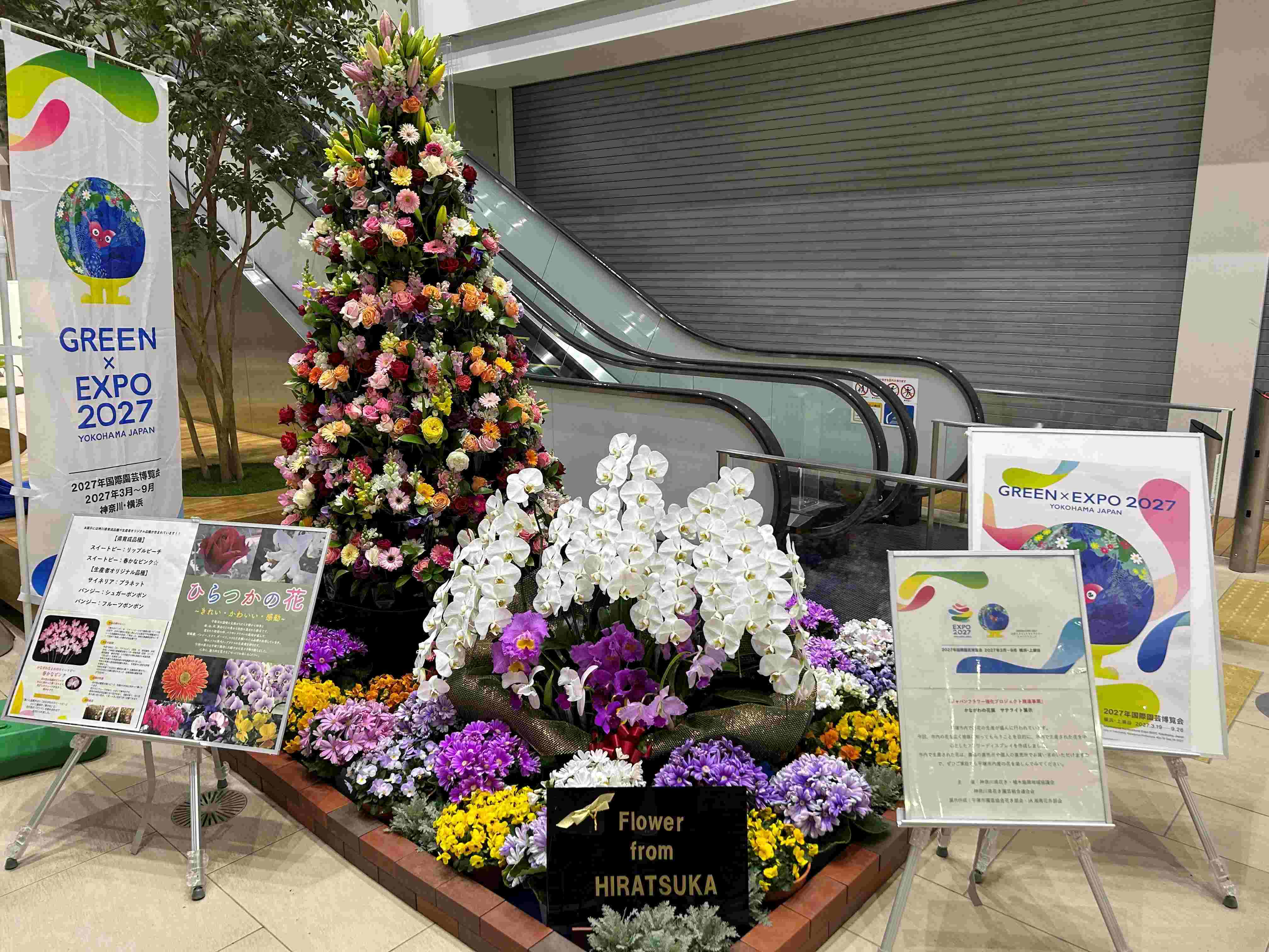 市役所での花の展示です