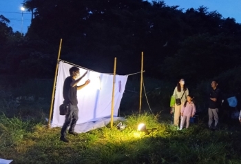 昆虫観察会（ライトトラップ）イメージ