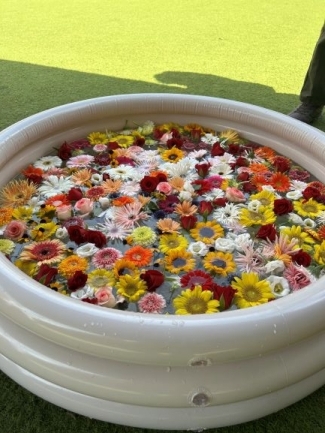 水に花が浮いている画像です。