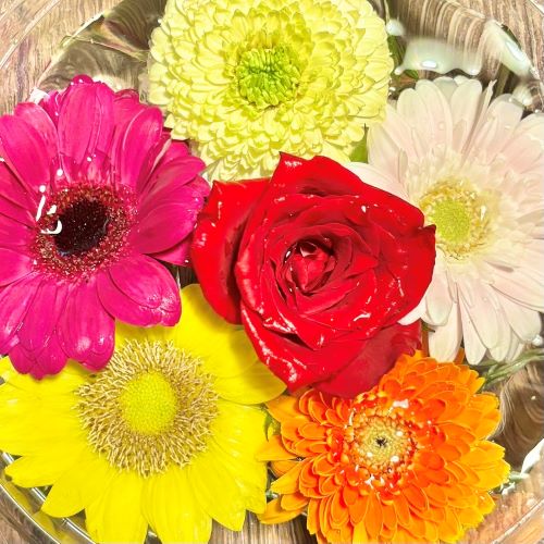 水に花が浮いている画像です。
