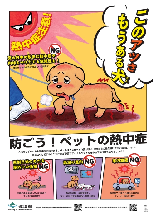 ポスター画像