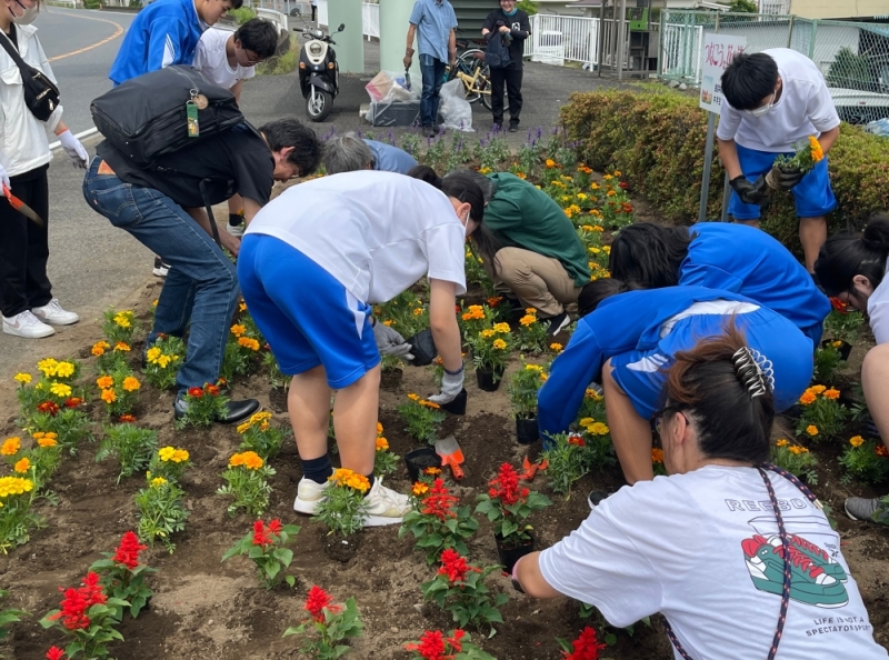 道路わきの花壇に花を植えている様子の写真