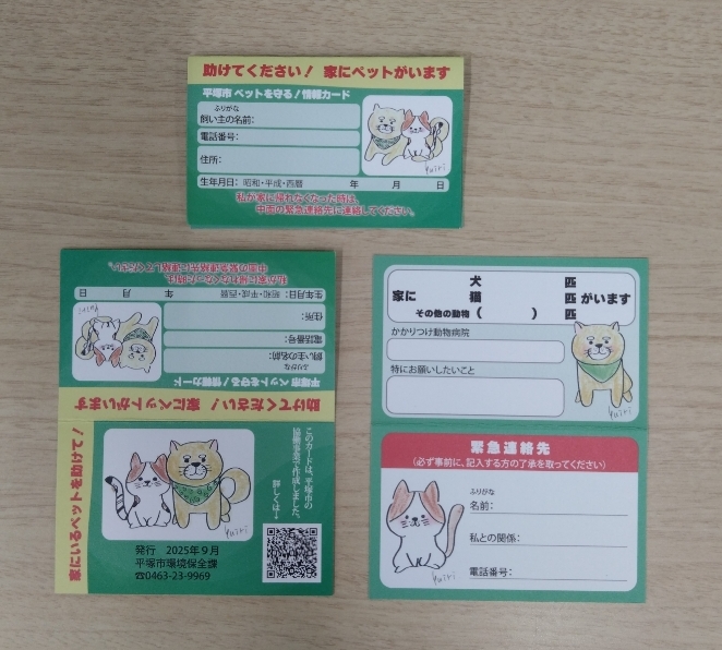 ページ情報カード