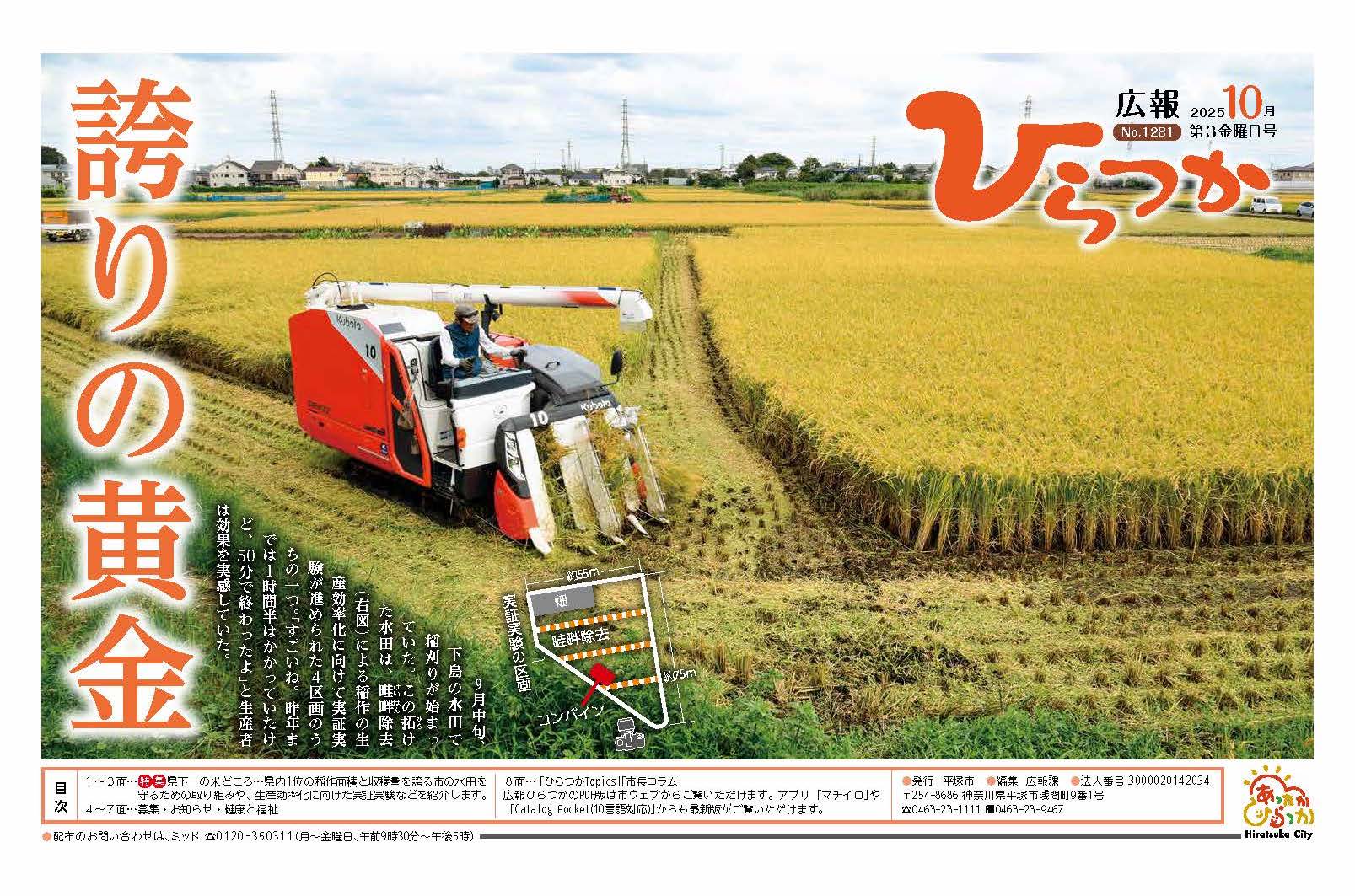 1281号 表紙画像