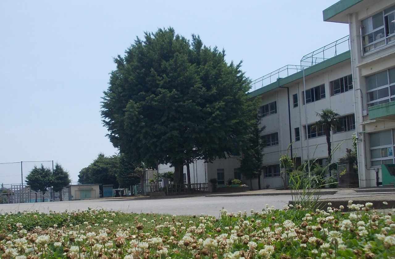 岡崎小学校の外観