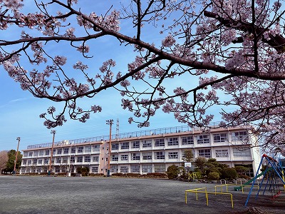 真土小学校の外観