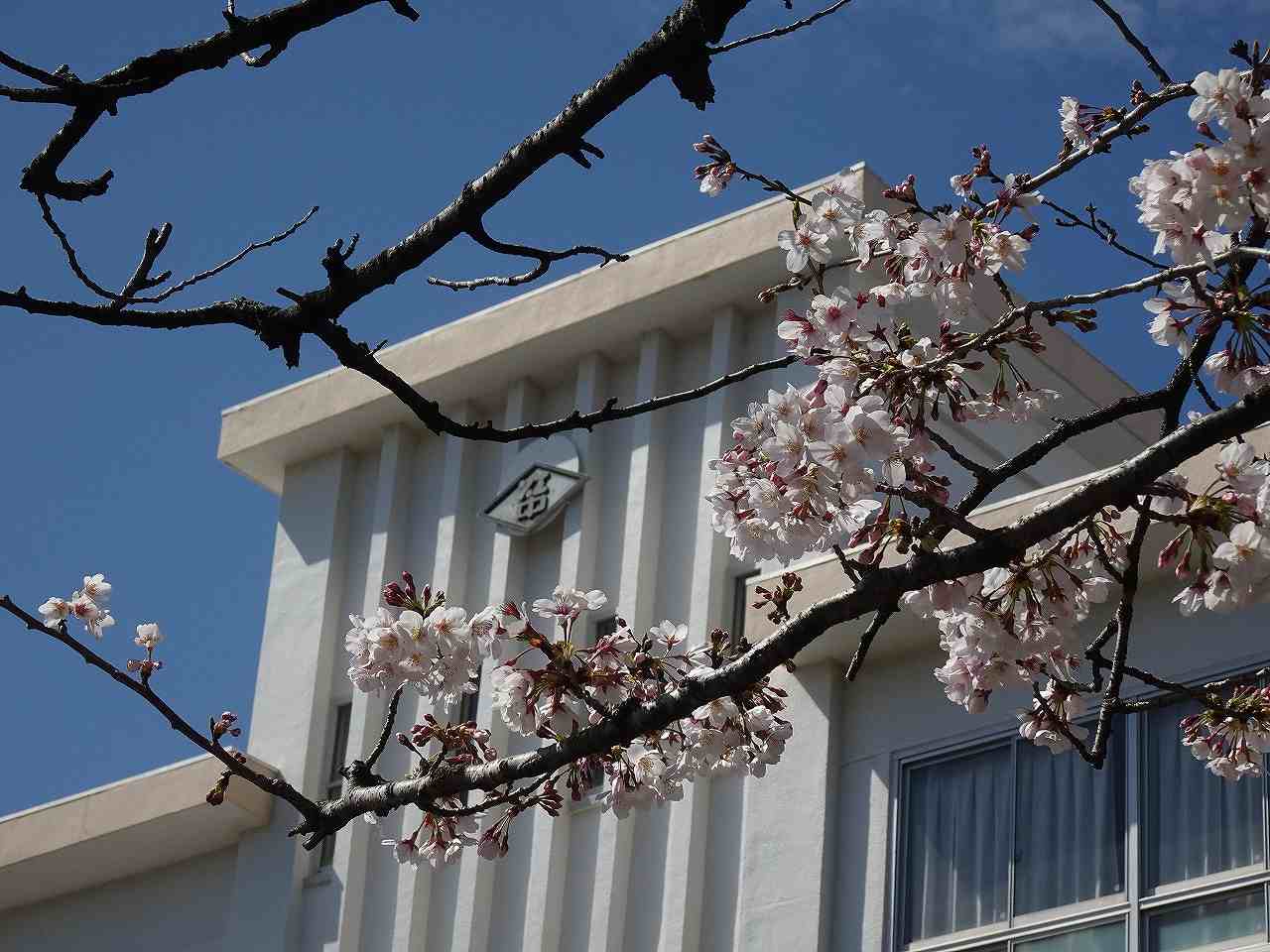 江陽中学校の外観