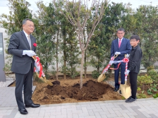 ひらつかシーテラス