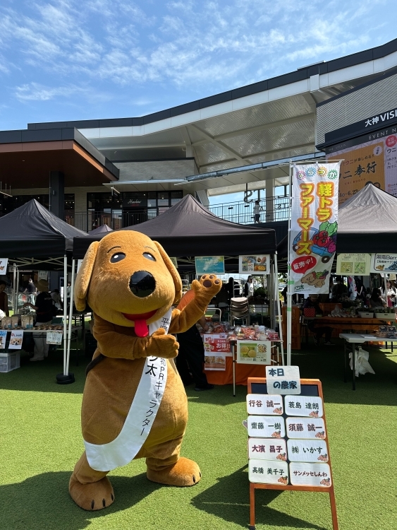 ジ アウトレット湘南平塚で「軽トラファーマーズ」に参加するベジタの写真