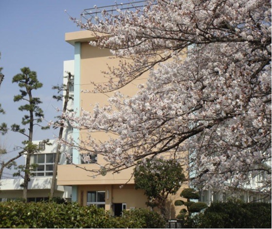 松が丘小学校の外観