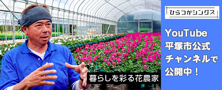 ひらつかシングスのページのリンク