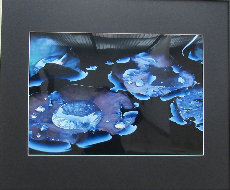 教育委員会賞受賞作品