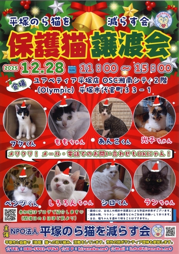 10月28日譲渡会のポスター画像