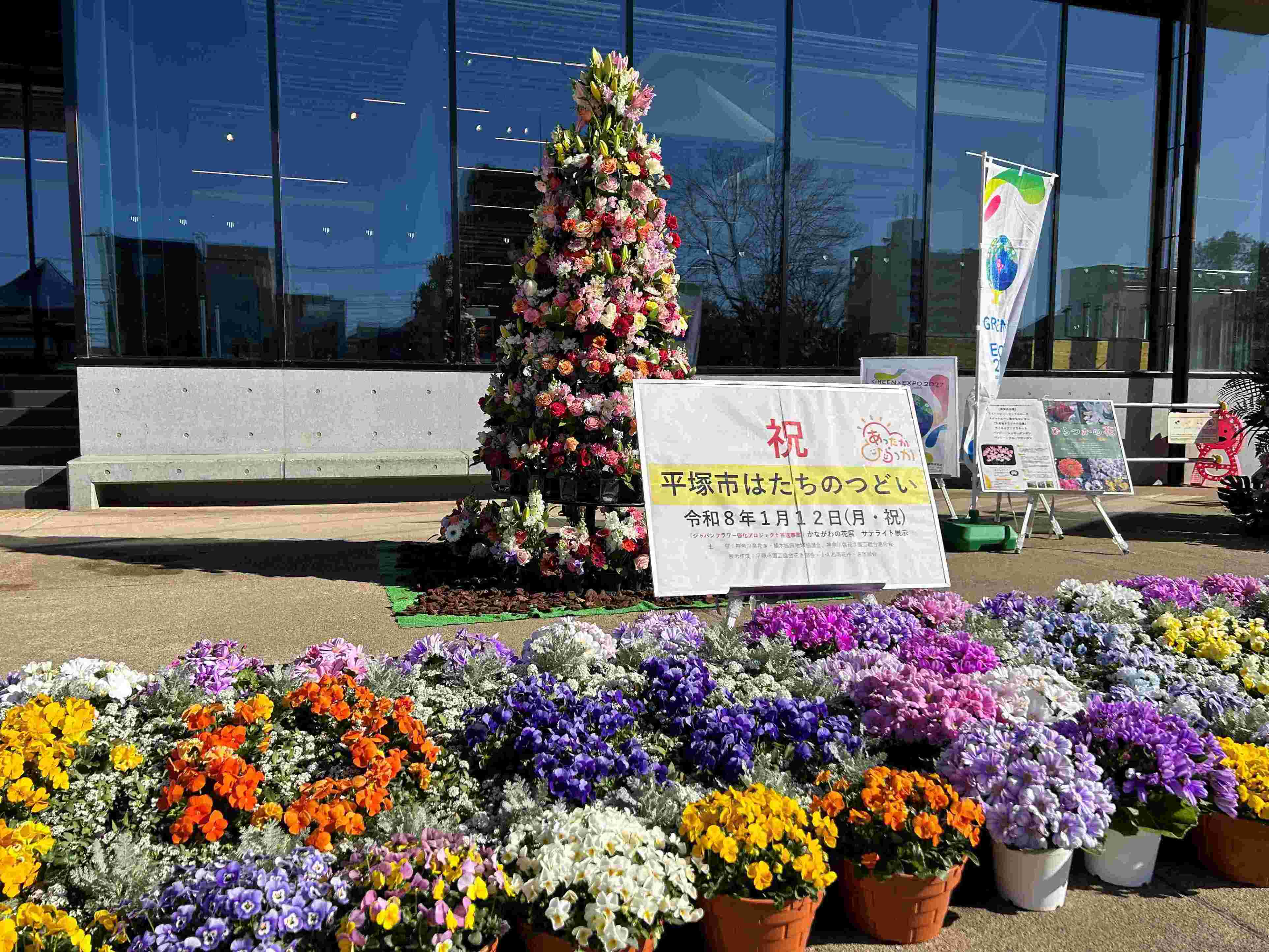 はたちのつどいでの花きの展示です