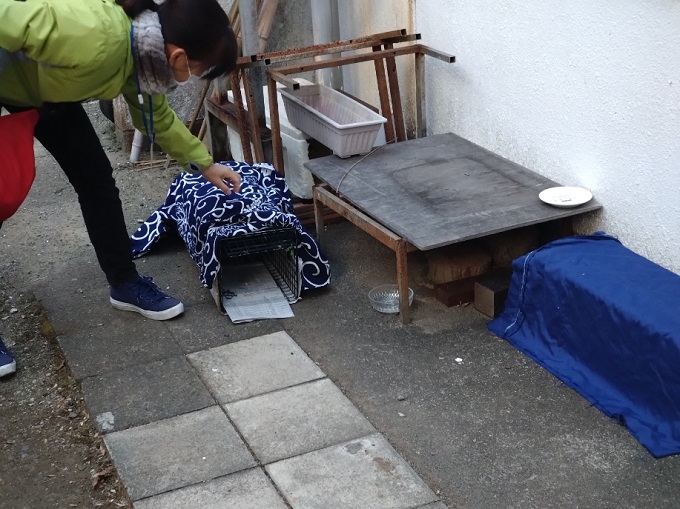 不妊去勢手術をするために、野良猫を捕まえる捕獲器を準備する様子