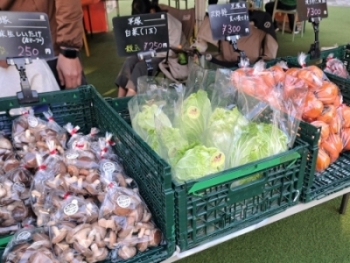 しいたけ、白菜、柿等旬の野菜が並んでいます